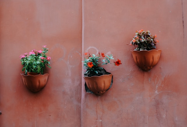 Three wall-mounted terracotta flower pots contain colorful flowers against a muted, terracotta-colored wall. The pots are arranged in a horizontal line, each holding a different variety of vibrant blooms.
