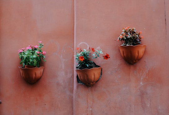 Three wall-mounted terracotta flower pots contain colorful flowers against a muted, terracotta-colored wall. The pots are arranged in a horizontal line, each holding a different variety of vibrant blooms.