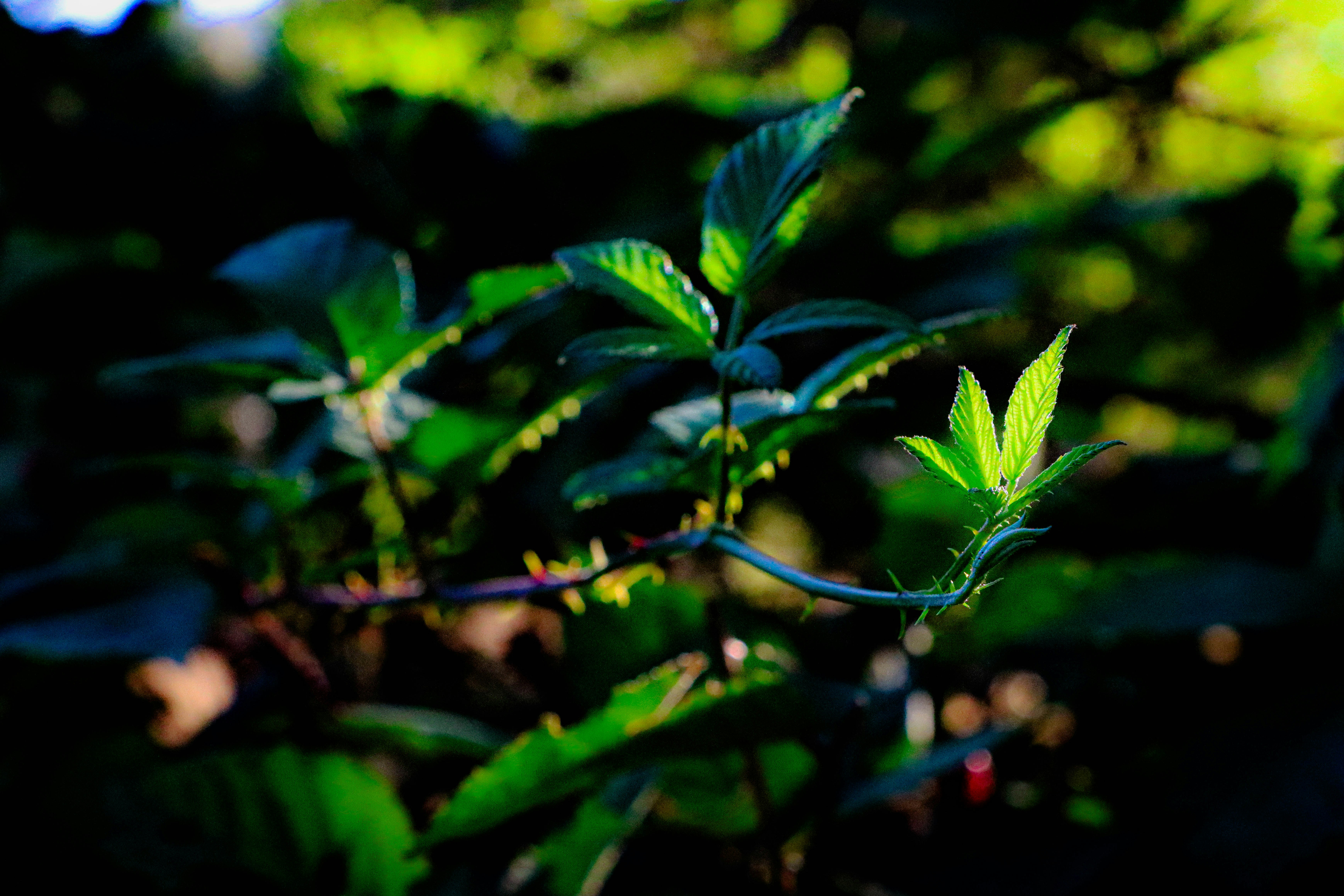 Photo by davidjboozer