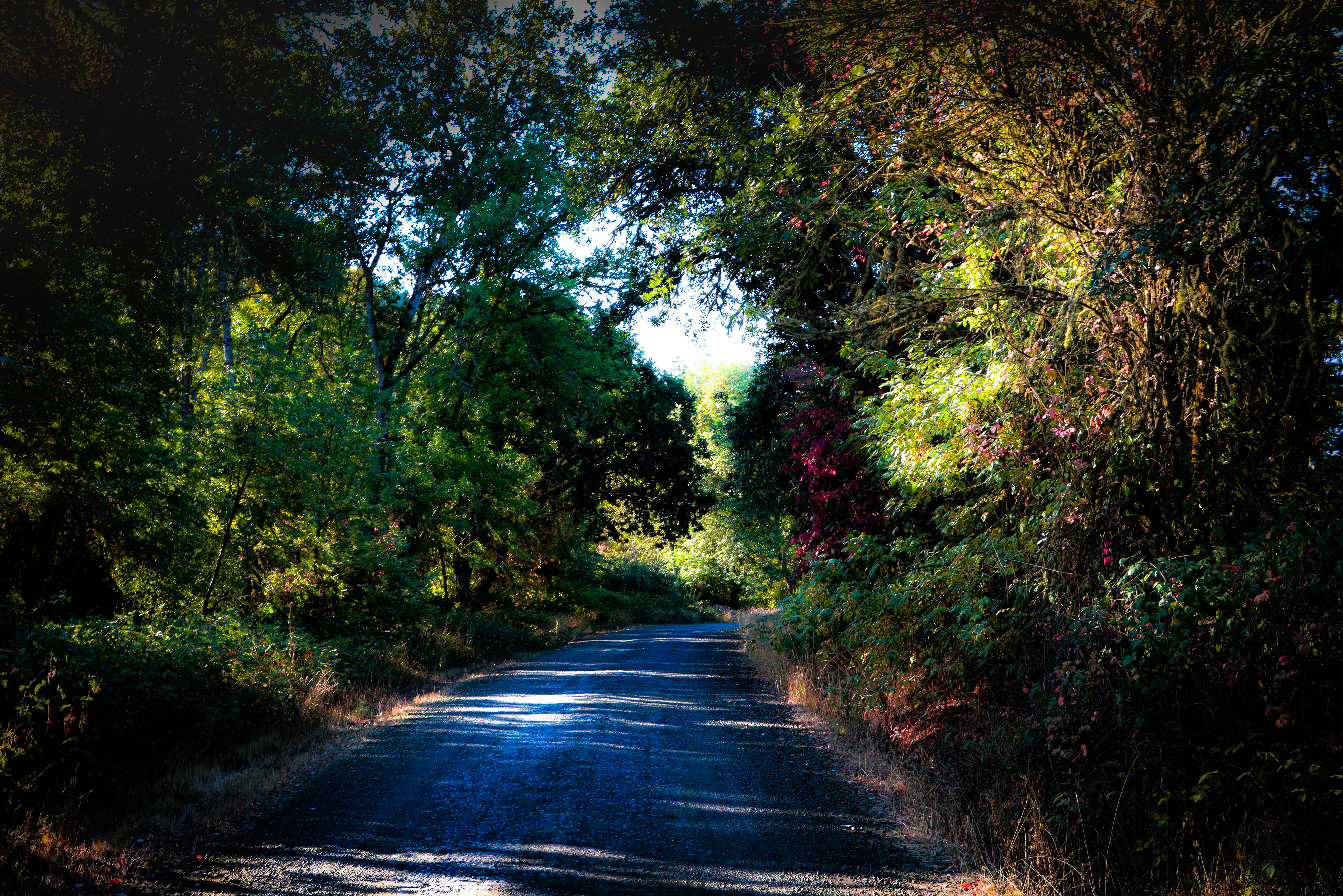 Photo by davidjboozer