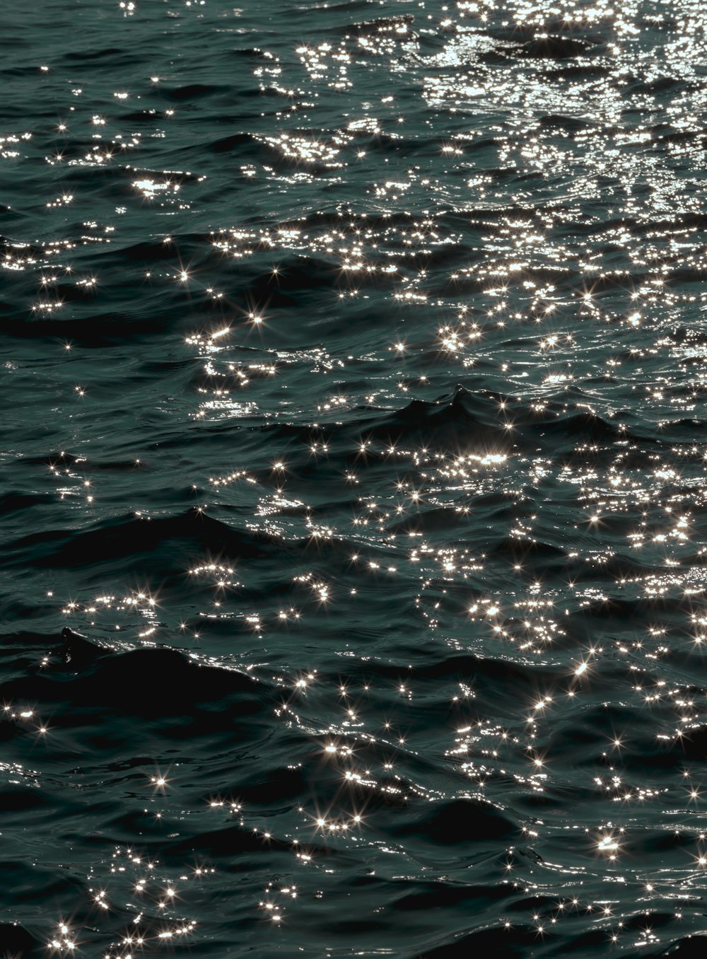 a black and white photo of the ocean