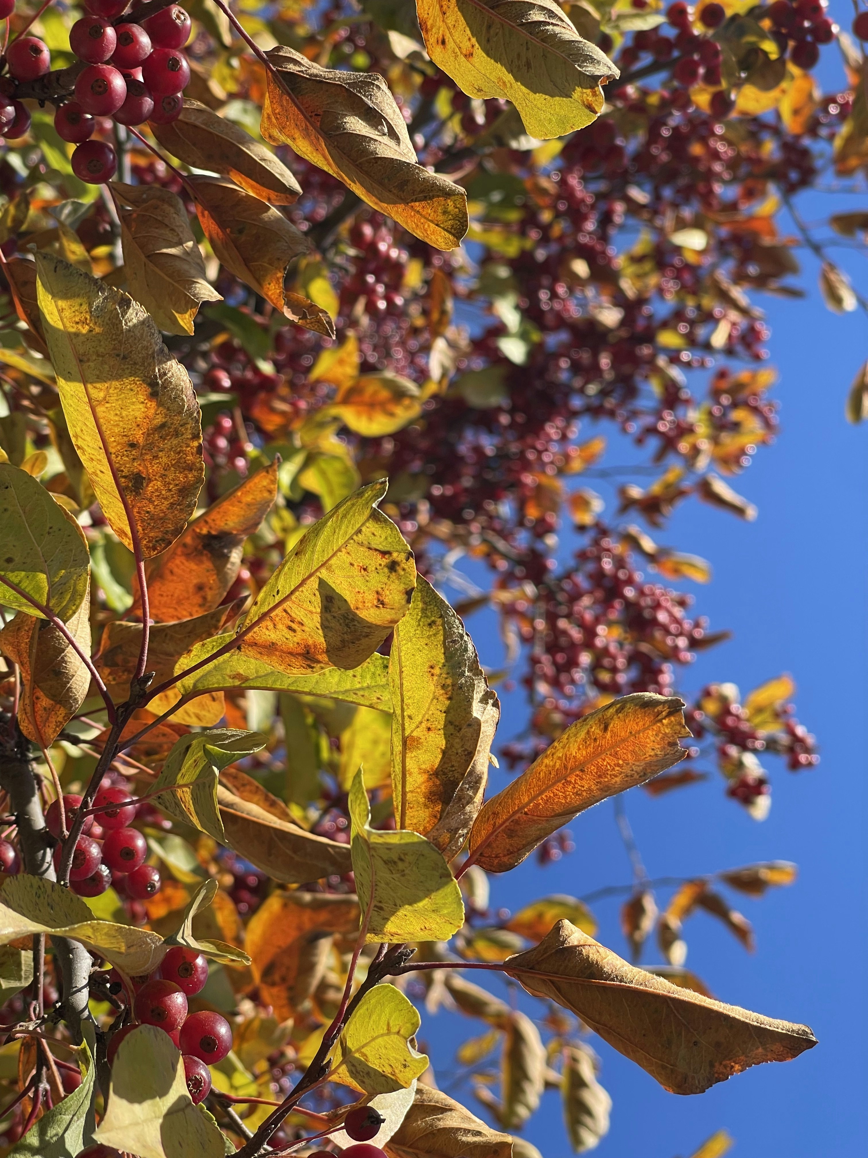 Photo by jenniferfay