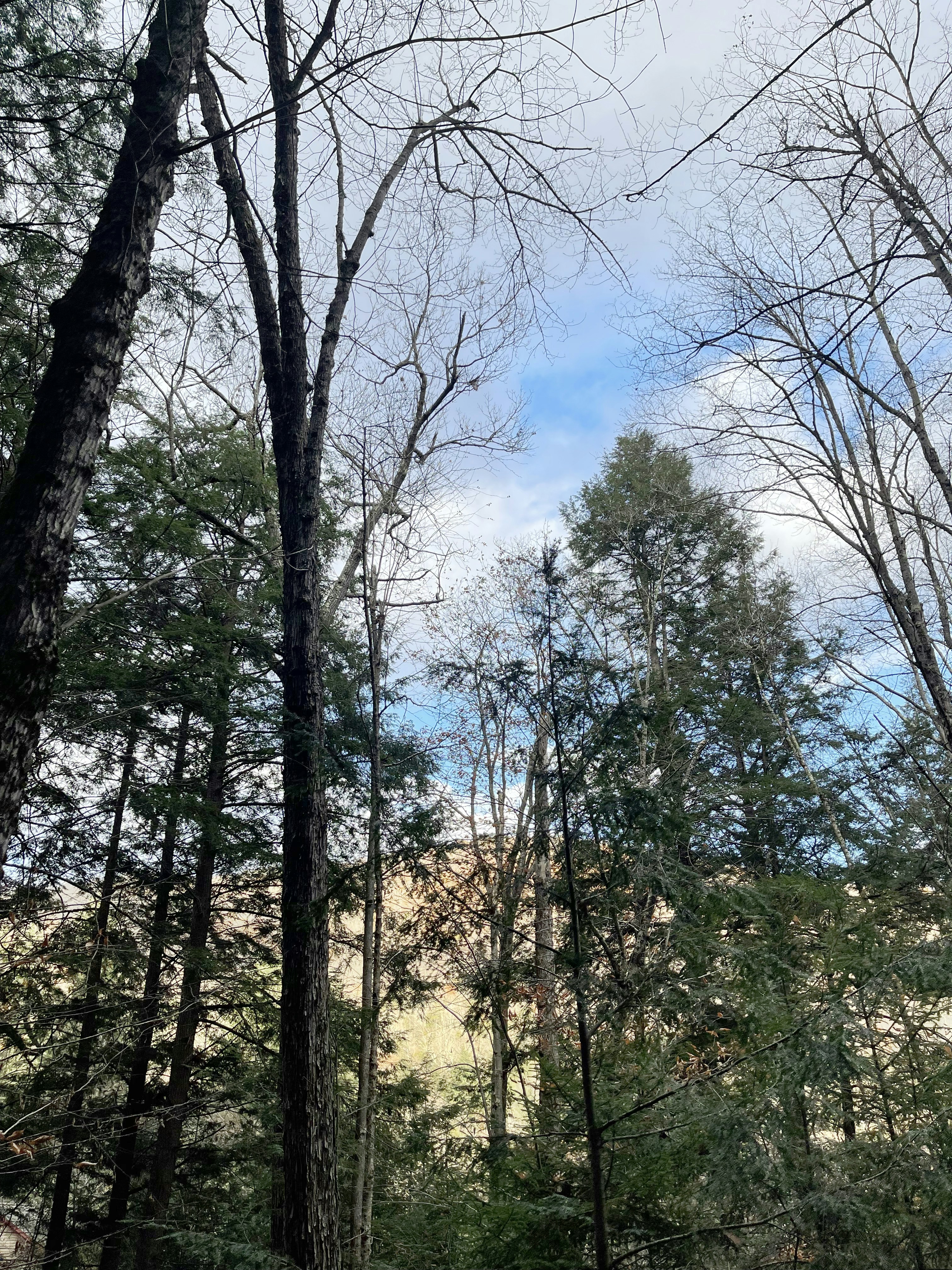 Photo by jenniferfay