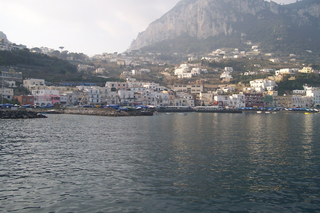 a body of water with a bunch of buildings on a hill in the background,