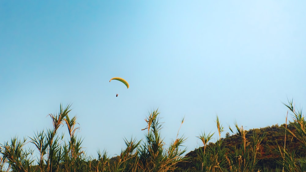 Un parapente survole le sommet d’une colline