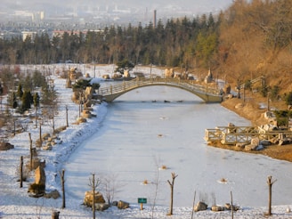 a bridge over a frozen river in a park