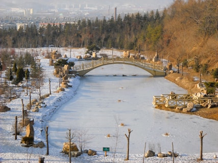 a bridge over a frozen river in a park