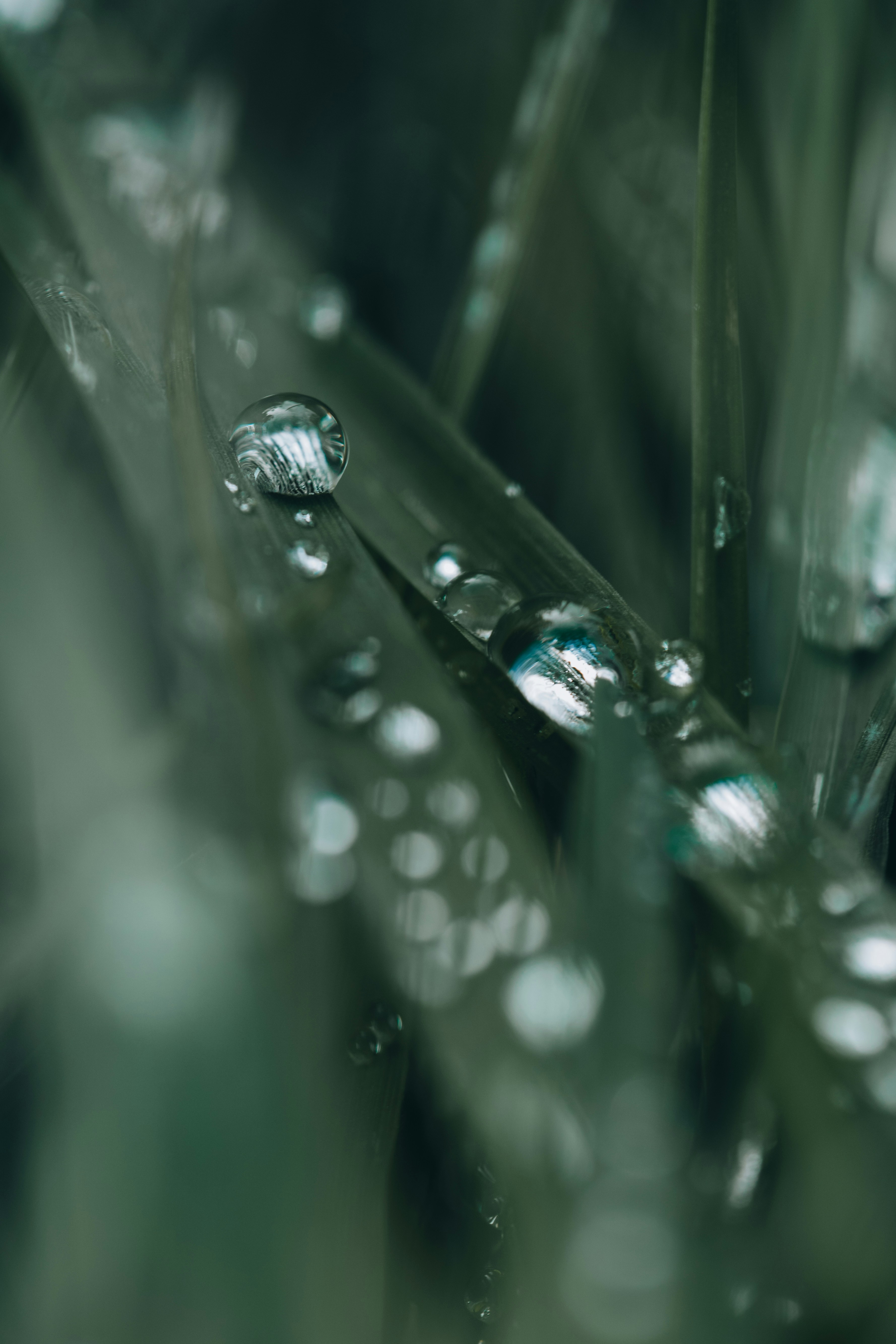 Photo by samaelcreative