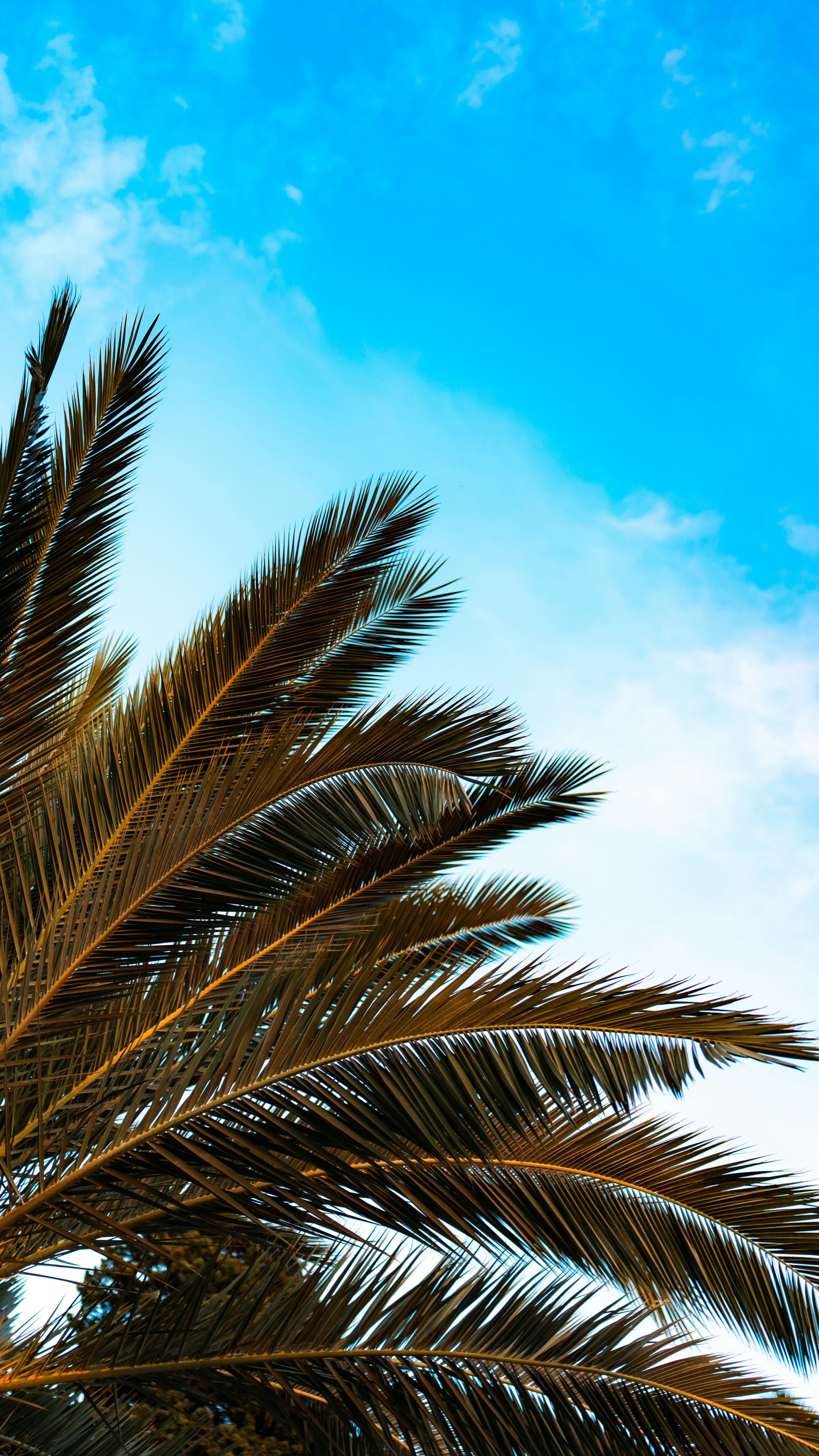 Photo by branislavrodman