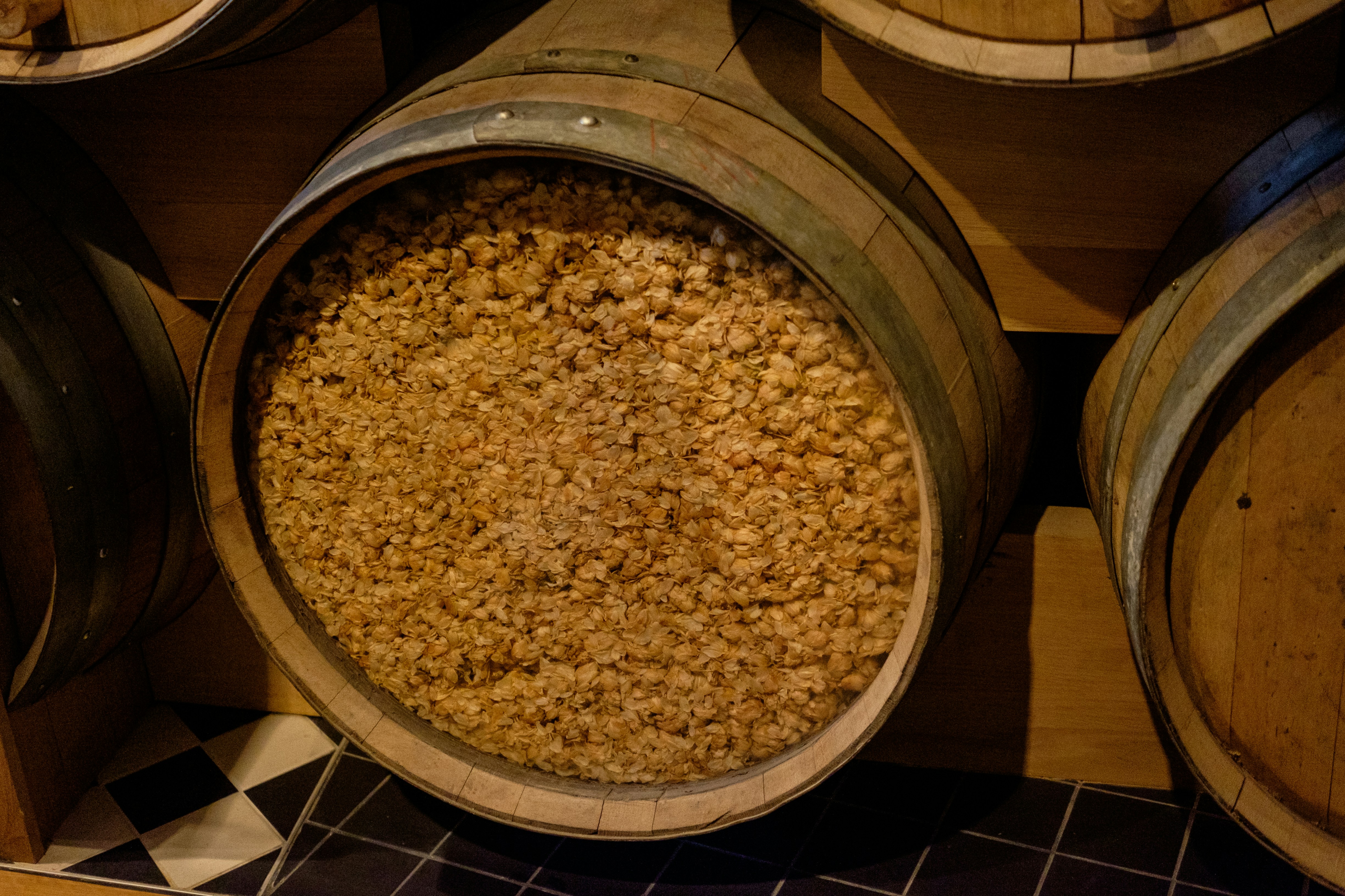 Ancient Mold, Modern Protein: What Balinese Fermentation Knew Before the Lab-Grown Meat Hype