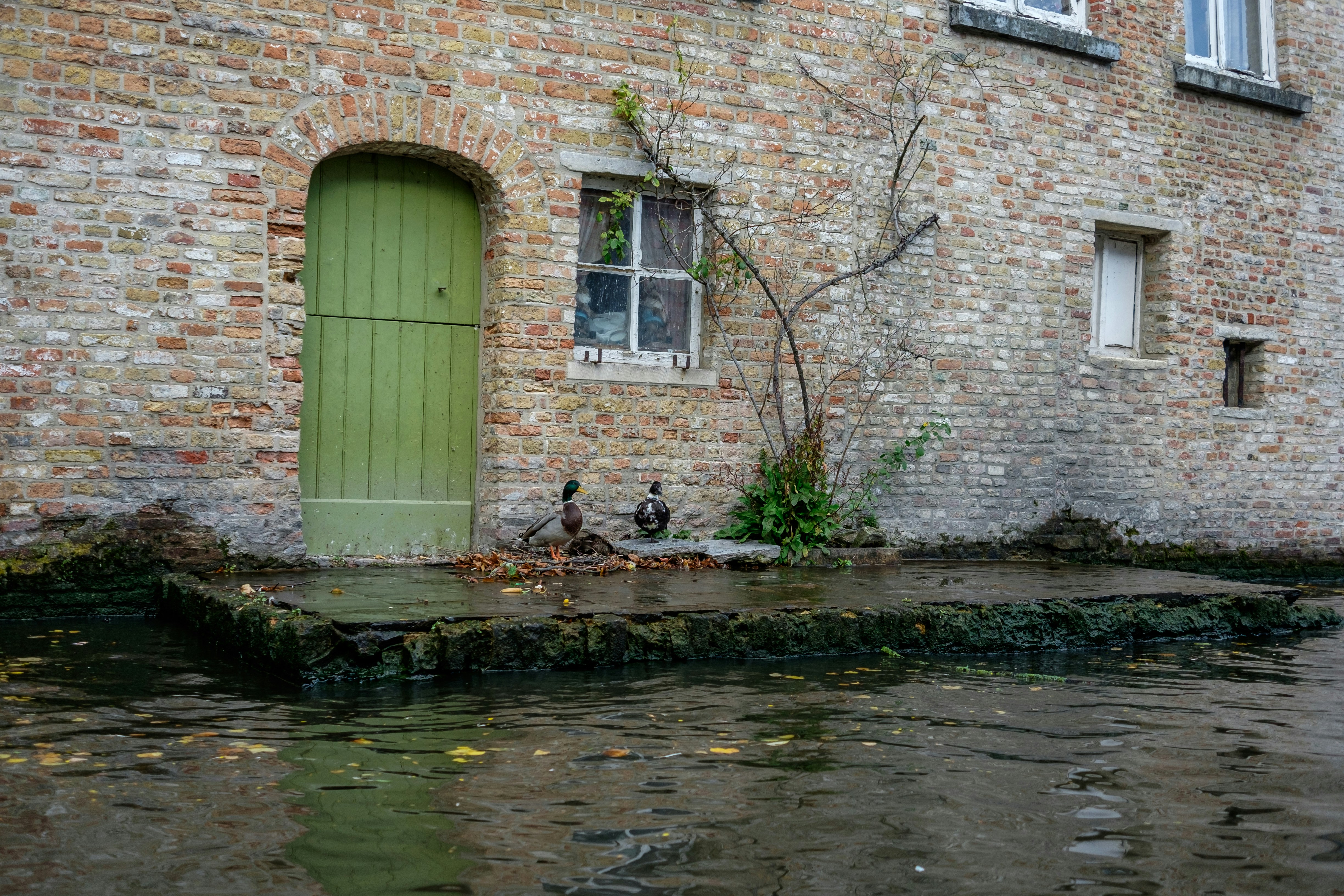 Photo by mayumimaciel