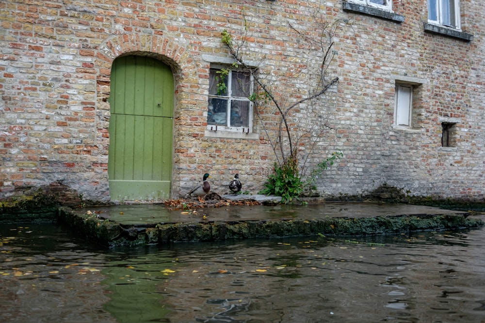 a green door on a brick building next to a body of water