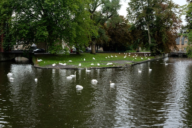 Minnewater: The So-Called 'Lake of Love'