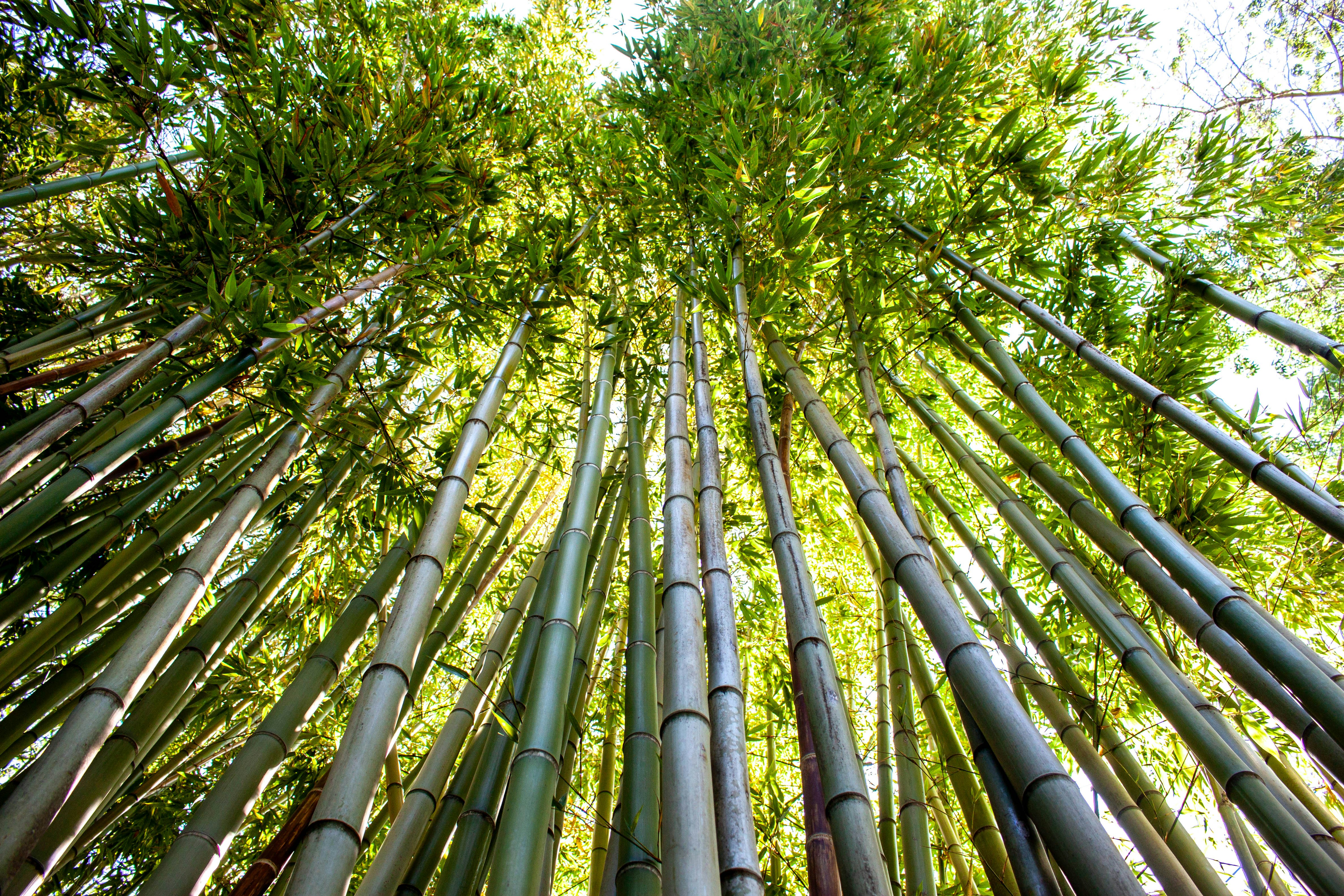 Photo by kamillaisalieva