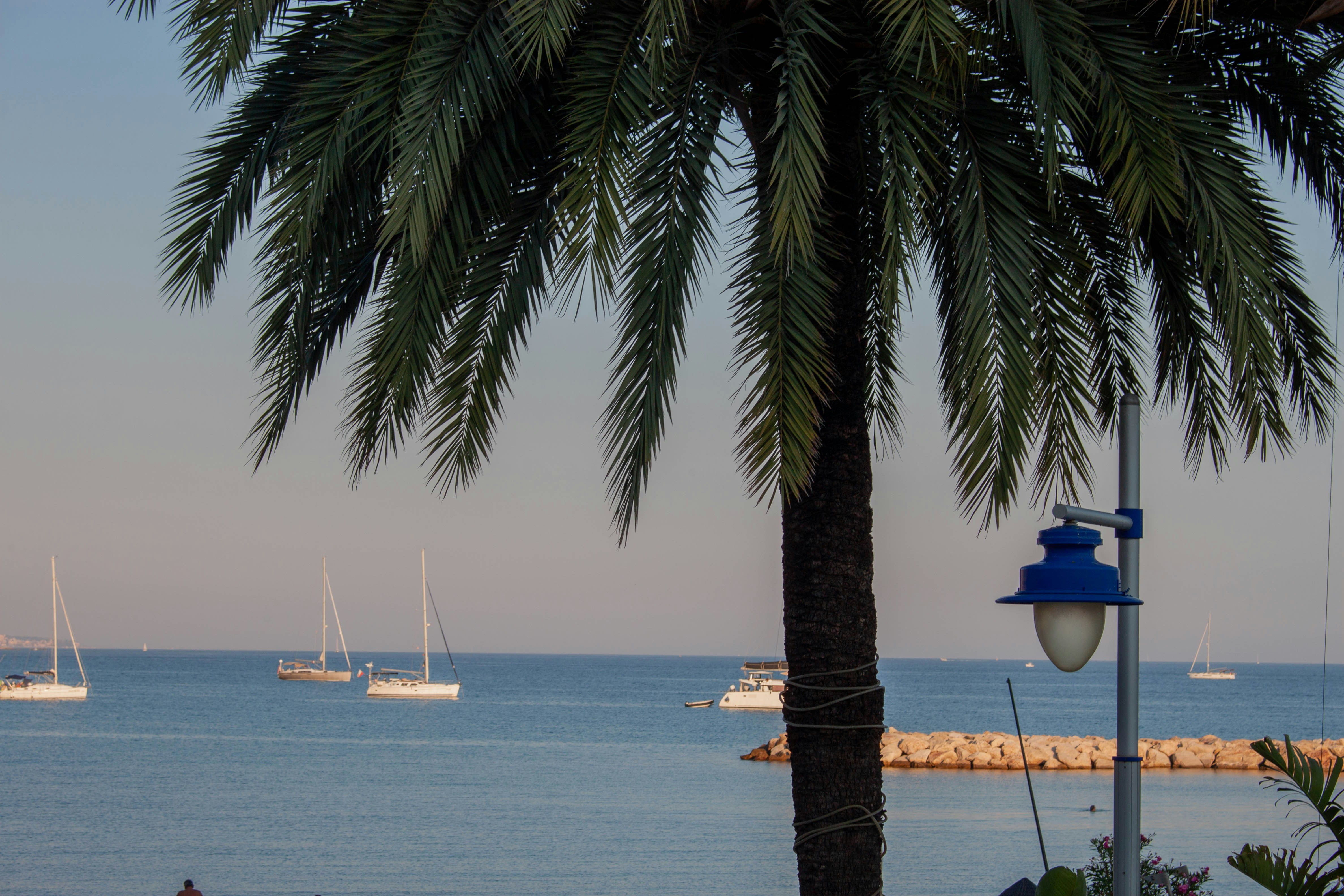 Photo by kamillaisalieva