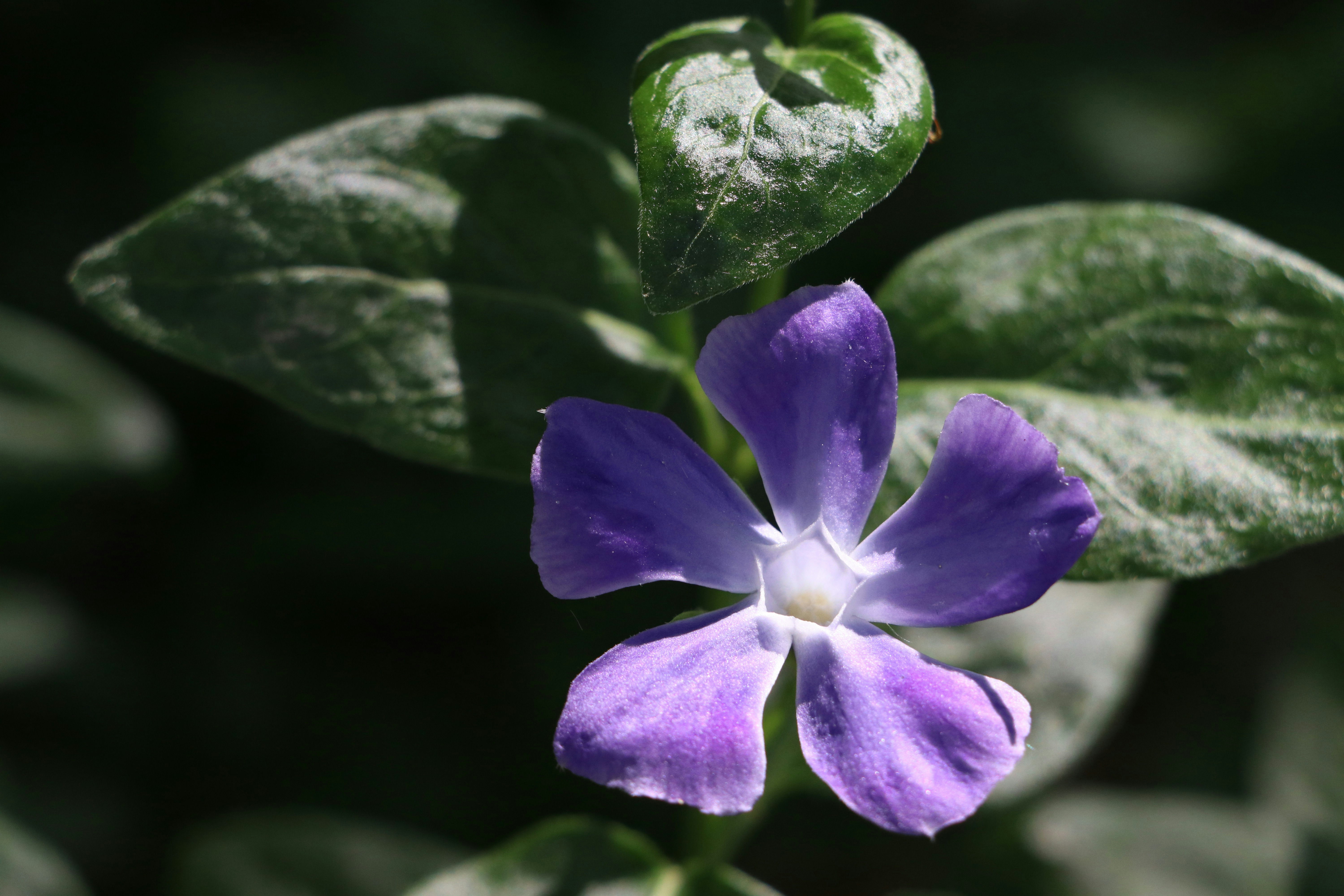 Photo by iam_nastaran10