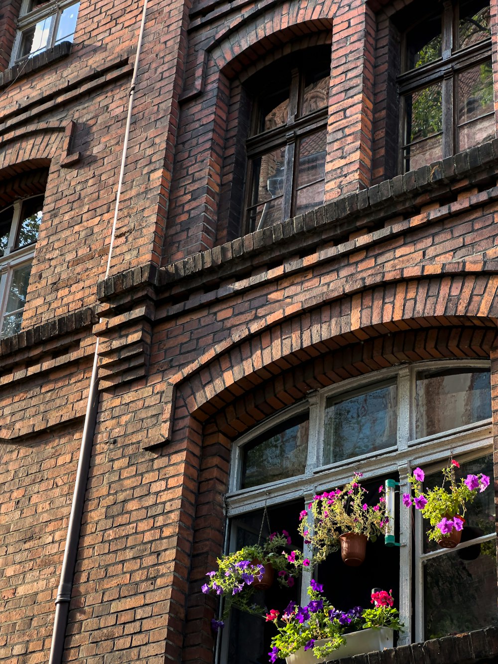 a brick building with a bunch of flowers in the window