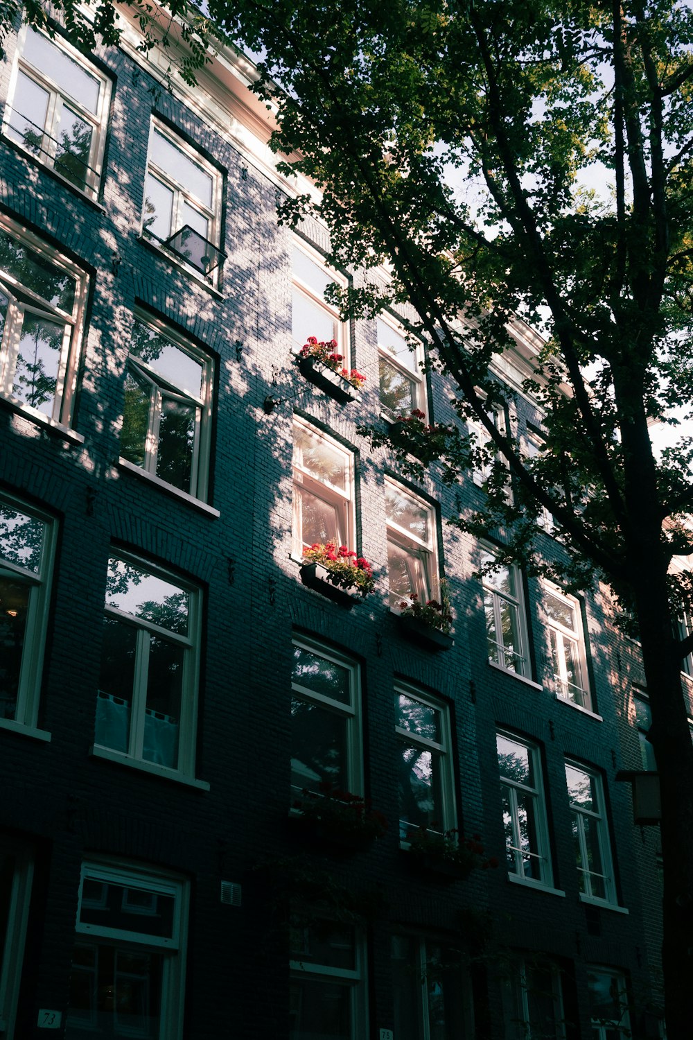 a tall building with lots of windows and a tree in front of it