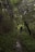 Two people walk along a narrow, muddy trail surrounded by dense green foliage in a forest setting. The tall trees create a leafy canopy overhead, with twisted branches forming natural arches. The atmosphere is serene and immersive, deeply embedded in nature.