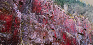 A lively networking event with members exchanging ideas against a backdrop of red sandstone cliffs.