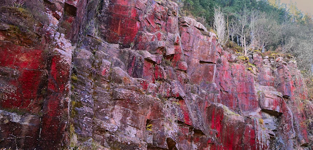 A lively networking event with members exchanging ideas against a backdrop of red sandstone cliffs.