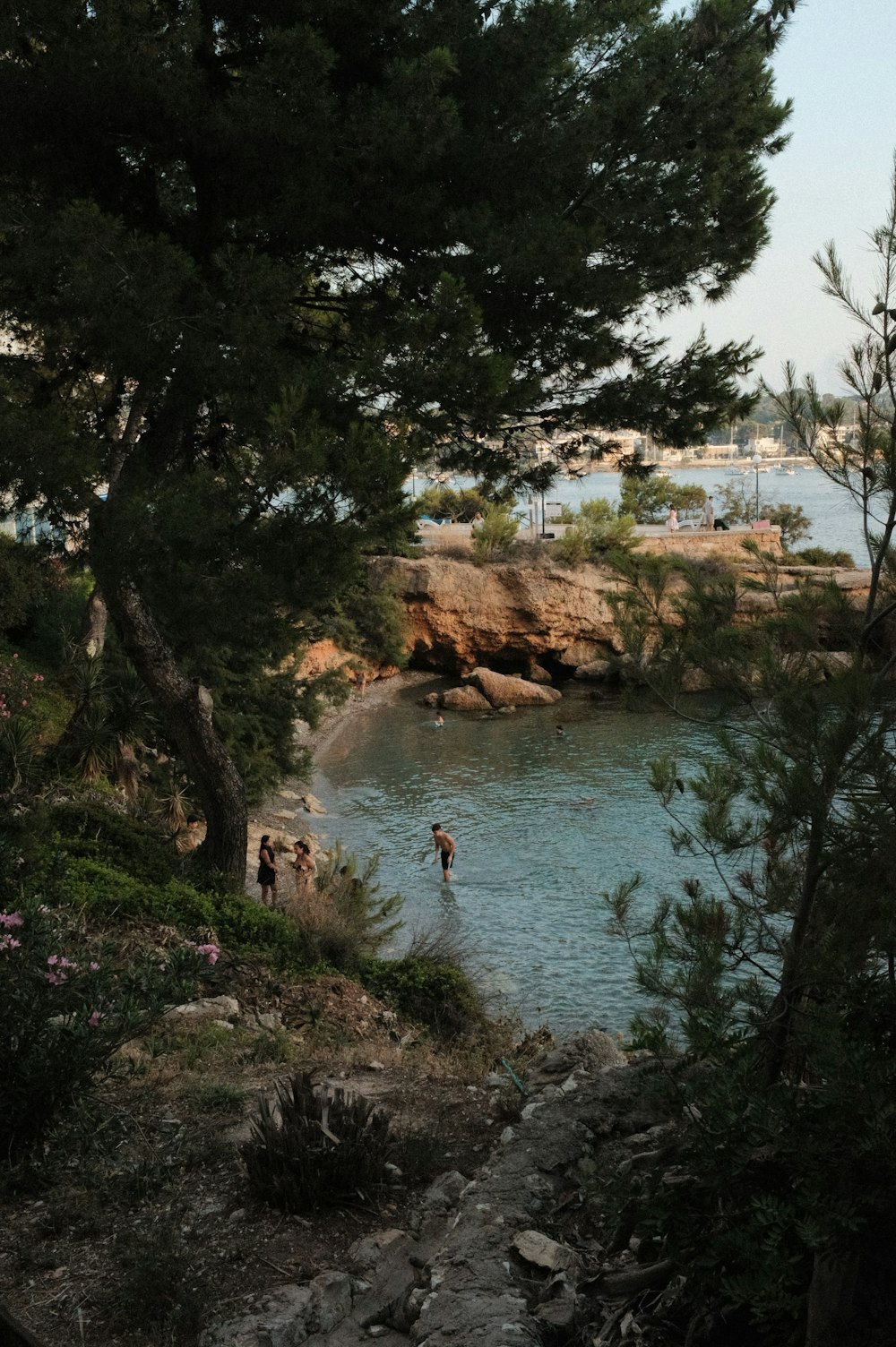 Un grupo de personas de pie en la cima de una playa junto a un cuerpo de agua