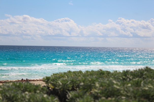 A vibrant coastal view of La Réunion with tropical greenery and ocean waves under a bright blue sky.