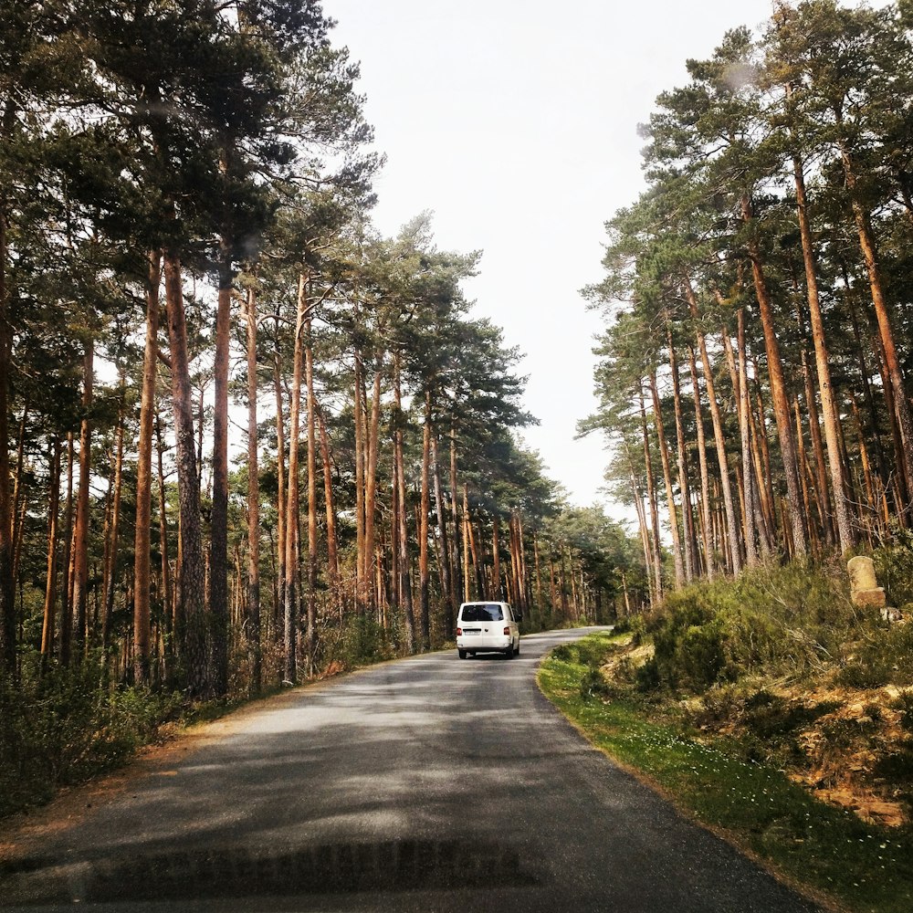 a van driving down a road surrounded by tall trees