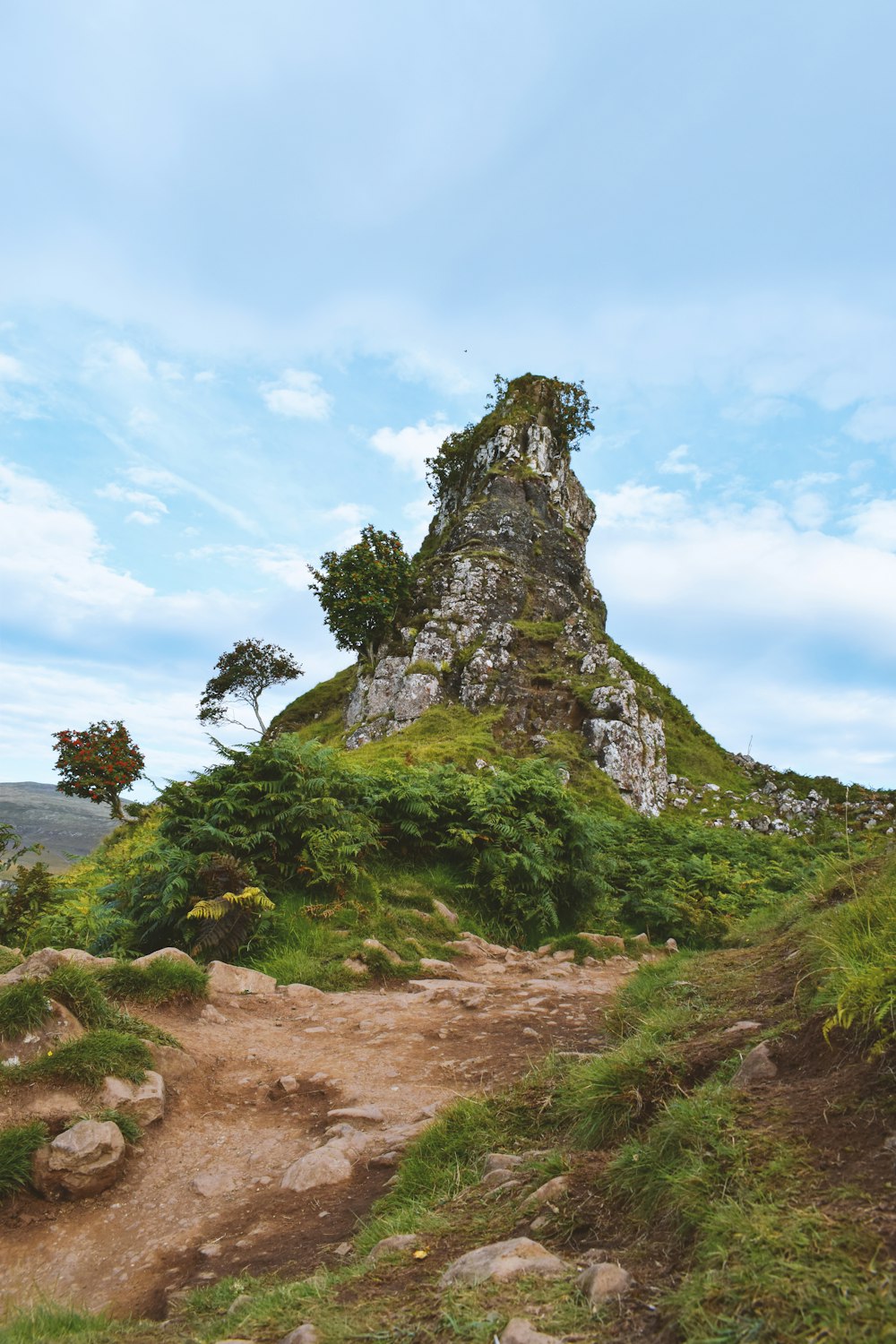 une colline rocheuse avec un arbre qui pousse dessus