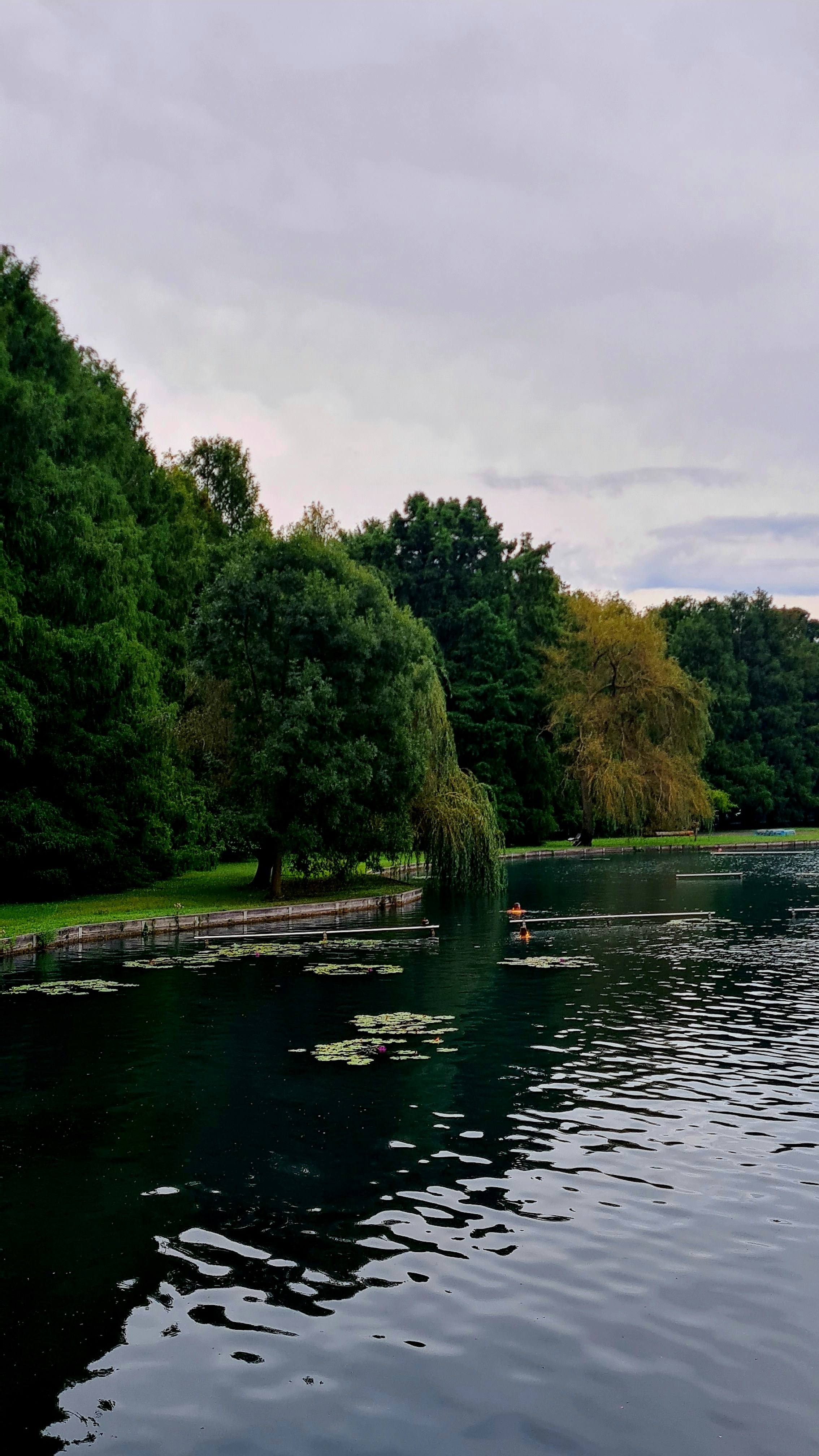 a body of water surrounded by trees and grass