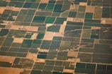 Aerial view of vast agricultural fields divided into various rectangular plots, displaying different shades of green and brown. Some areas appear to be covered in lush vegetation while others are barren. Small roads and paths interconnect these plots, and a few scattered buildings or farm structures are visible.