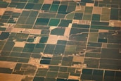 Aerial view of vast agricultural fields divided into various rectangular plots, displaying different shades of green and brown. Some areas appear to be covered in lush vegetation while others are barren. Small roads and paths interconnect these plots, and a few scattered buildings or farm structures are visible.
