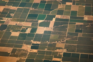 Aerial view of vast agricultural fields divided into various rectangular plots, displaying different shades of green and brown. Some areas appear to be covered in lush vegetation while others are barren. Small roads and paths interconnect these plots, and a few scattered buildings or farm structures are visible.