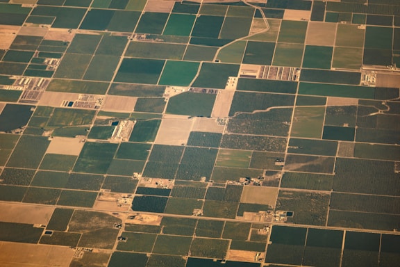 Aerial view of vast agricultural fields and orchards at Northern Agro-Industrial Park.
