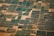 Aerial view of vast agricultural fields divided into various rectangular plots, displaying different shades of green and brown. Some areas appear to be covered in lush vegetation while others are barren. Small roads and paths interconnect these plots, and a few scattered buildings or farm structures are visible.