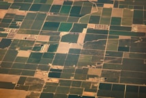 Aerial view of vast agricultural fields divided into various rectangular plots, displaying different shades of green and brown. Some areas appear to be covered in lush vegetation while others are barren. Small roads and paths interconnect these plots, and a few scattered buildings or farm structures are visible.