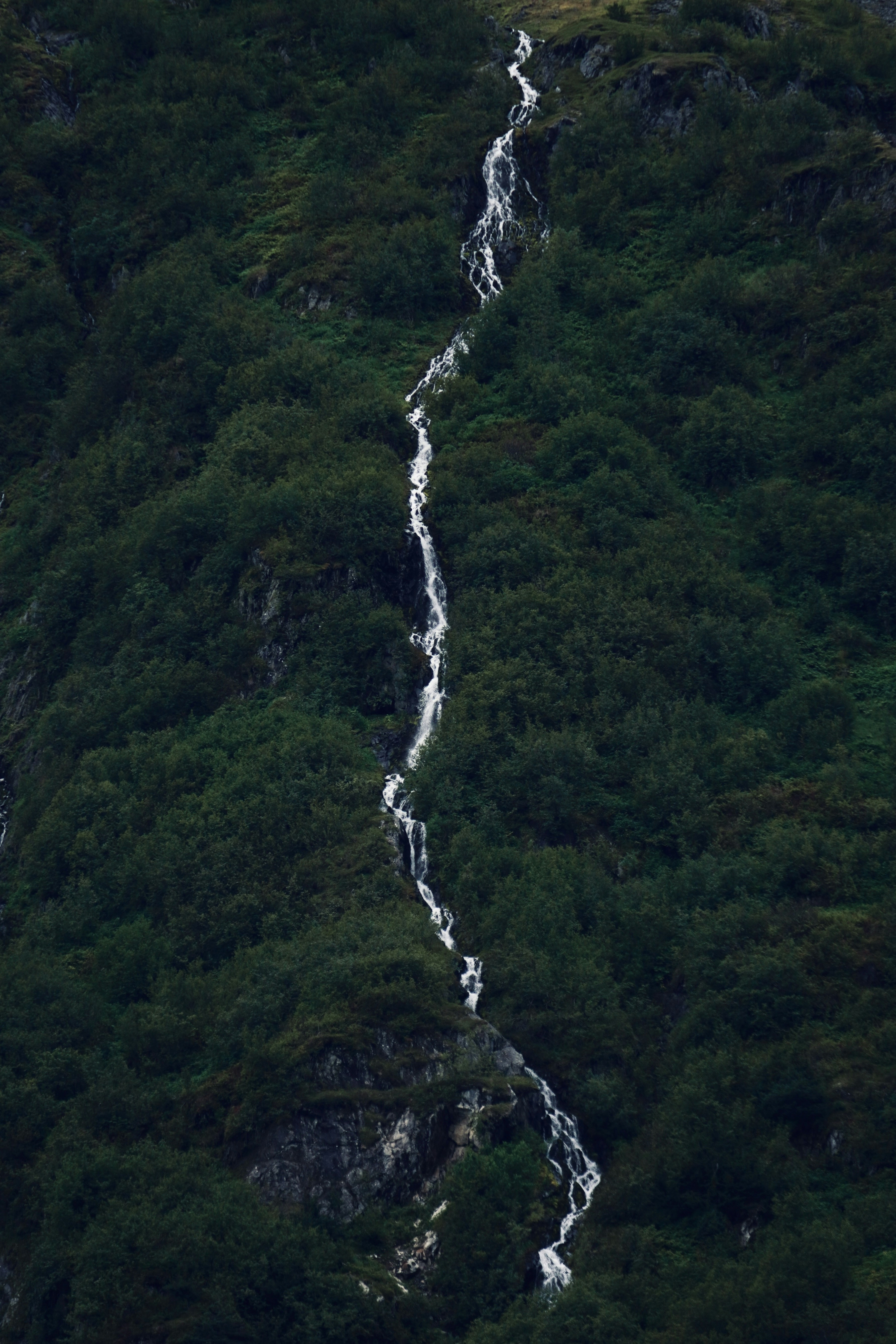Photo by meinayin