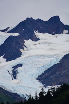 A majestic mountain landscape featuring a glacier flowing between rocky peaks. The glacier has a bright white and light blue appearance, contrasting sharply with the dark, rugged mountains surrounding it. In the foreground, there is a line of evergreen trees, adding depth and a natural frame to the scene.
