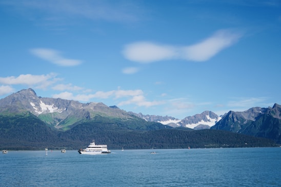 A serene view of Orcas Island shoreline with a Washington State ferry approaching in the distance under a clear blue sky.