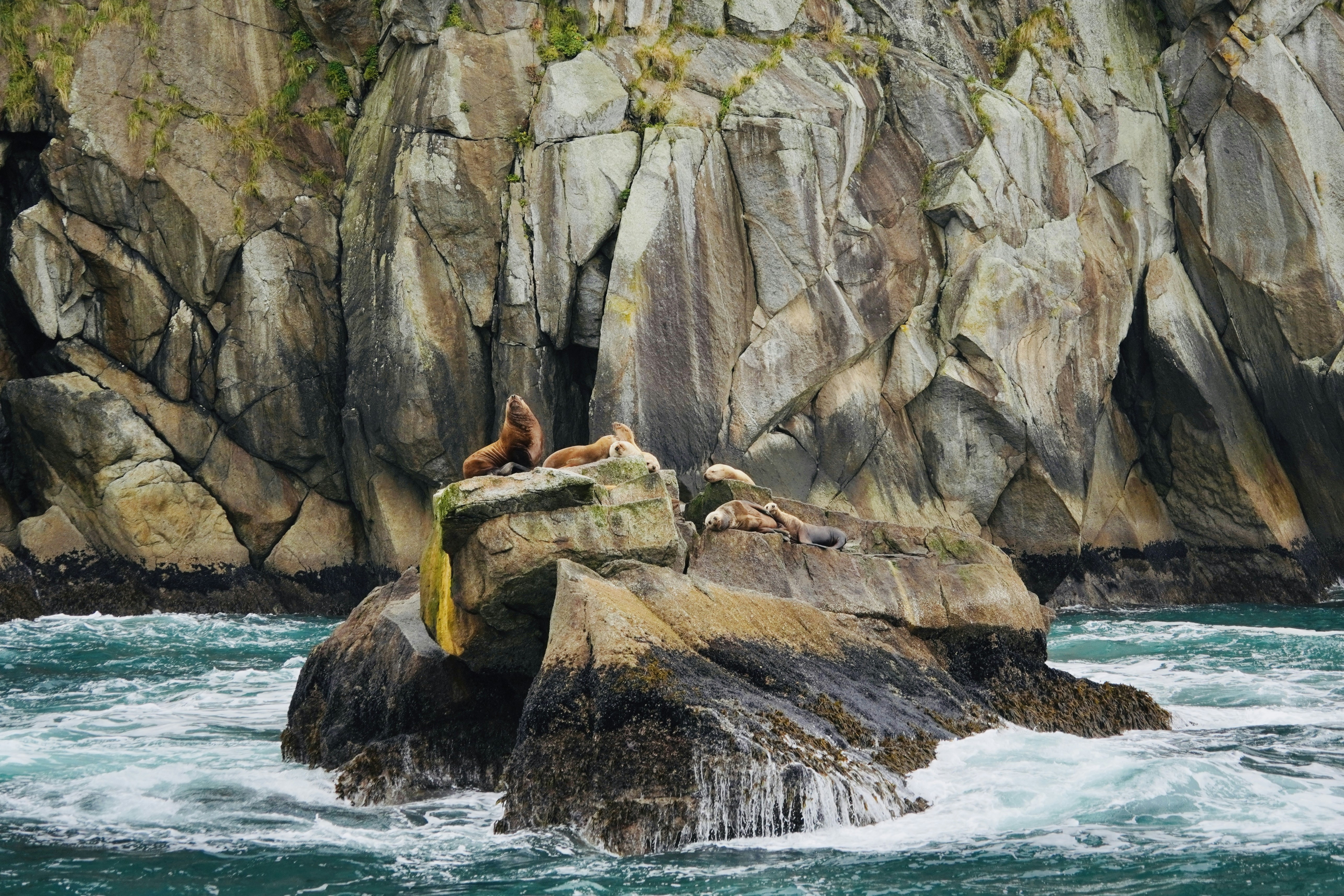 A breathtaking aerial view of a remote island with lush green forests and a dramatic rocky coastline, embodying the spirit of a national park island getaway.