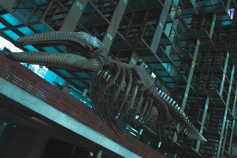a large dinosaur skeleton hanging from the ceiling of a building