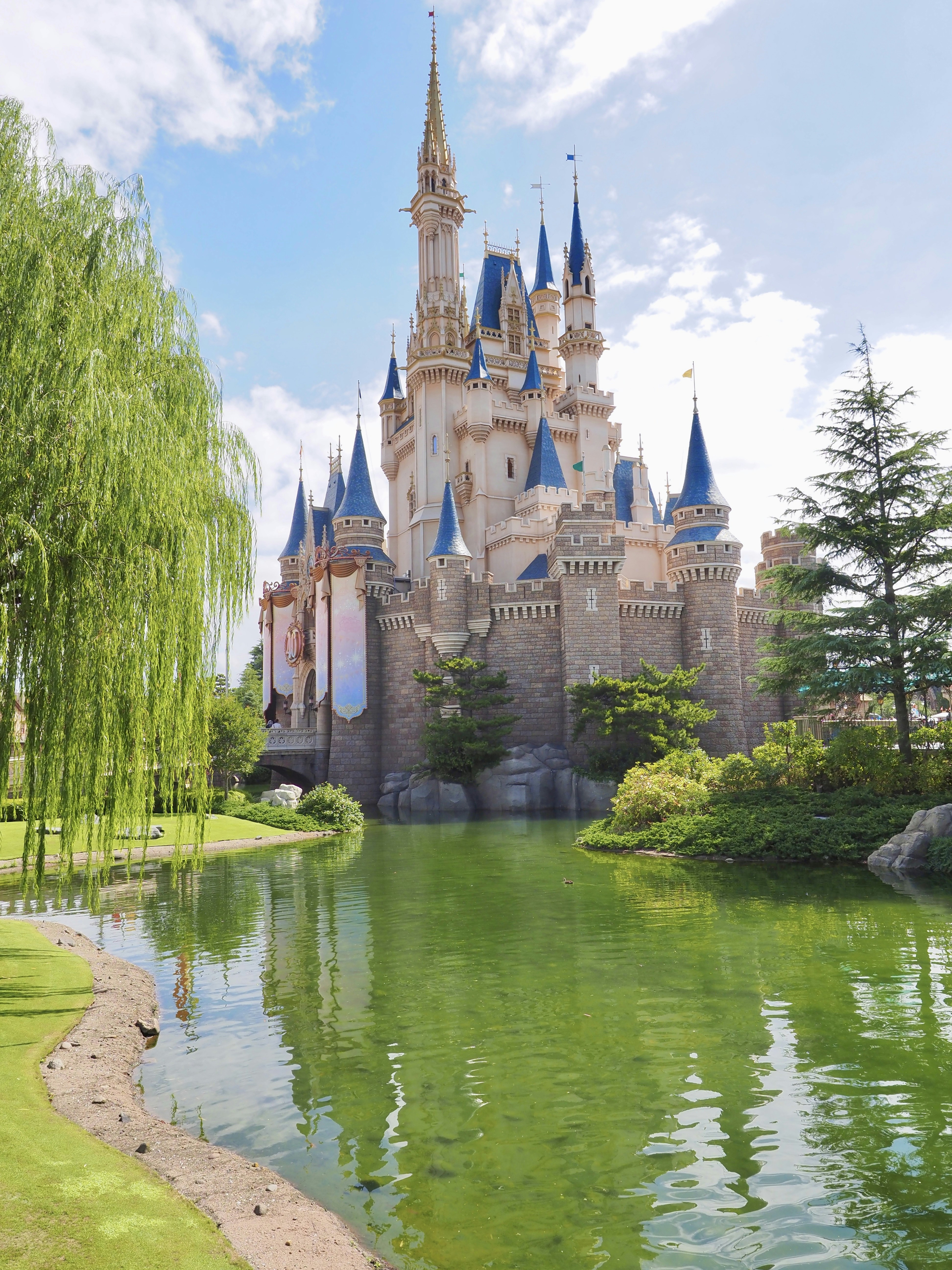 a castle with a pond in front of it