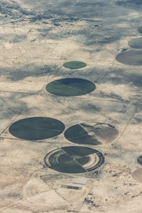 Aerial view of circular agricultural fields set in a desert landscape. These circular patterns are likely created by center-pivot irrigation systems. The surrounding area appears arid and sparse, showing a contrast between the green of the fields and the brownish tones of the land.