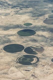 Aerial view of circular agricultural fields set in a desert landscape. These circular patterns are likely created by center-pivot irrigation systems. The surrounding area appears arid and sparse, showing a contrast between the green of the fields and the brownish tones of the land.
