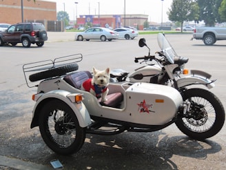 A white dog wearing a red vest is sitting in the sidecar of a motorcycle parked in a parking lot. The motorcycle has a retro design and is equipped with a spare tire mounted on the back of the sidecar. Several cars are parked in the background near some buildings and trees.