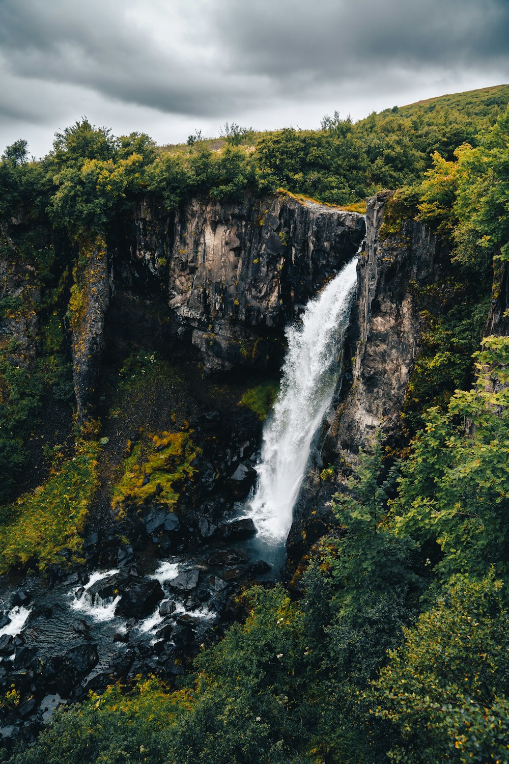 a waterfall in the middle of a lush green forest