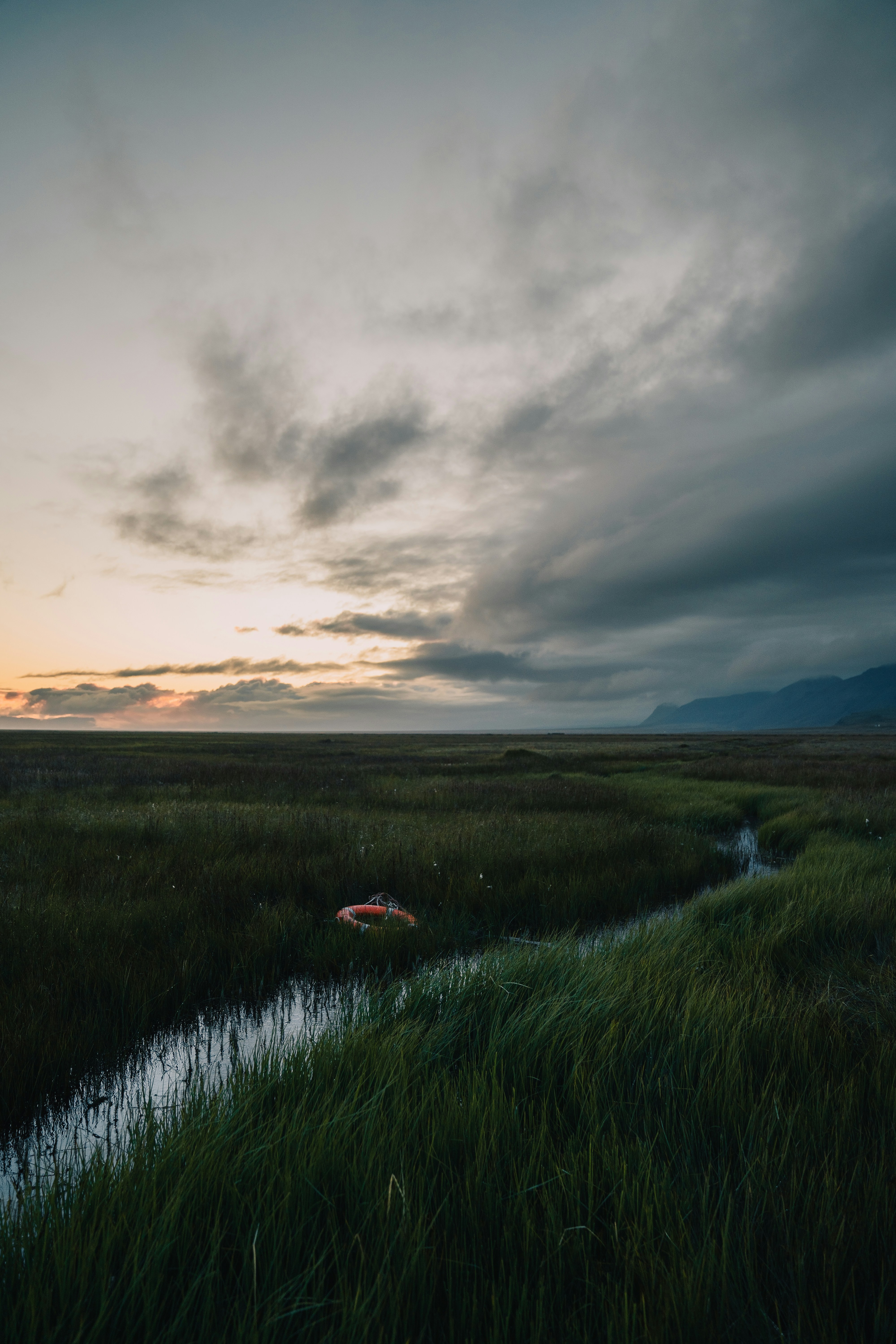 a small stream running through a lush green field