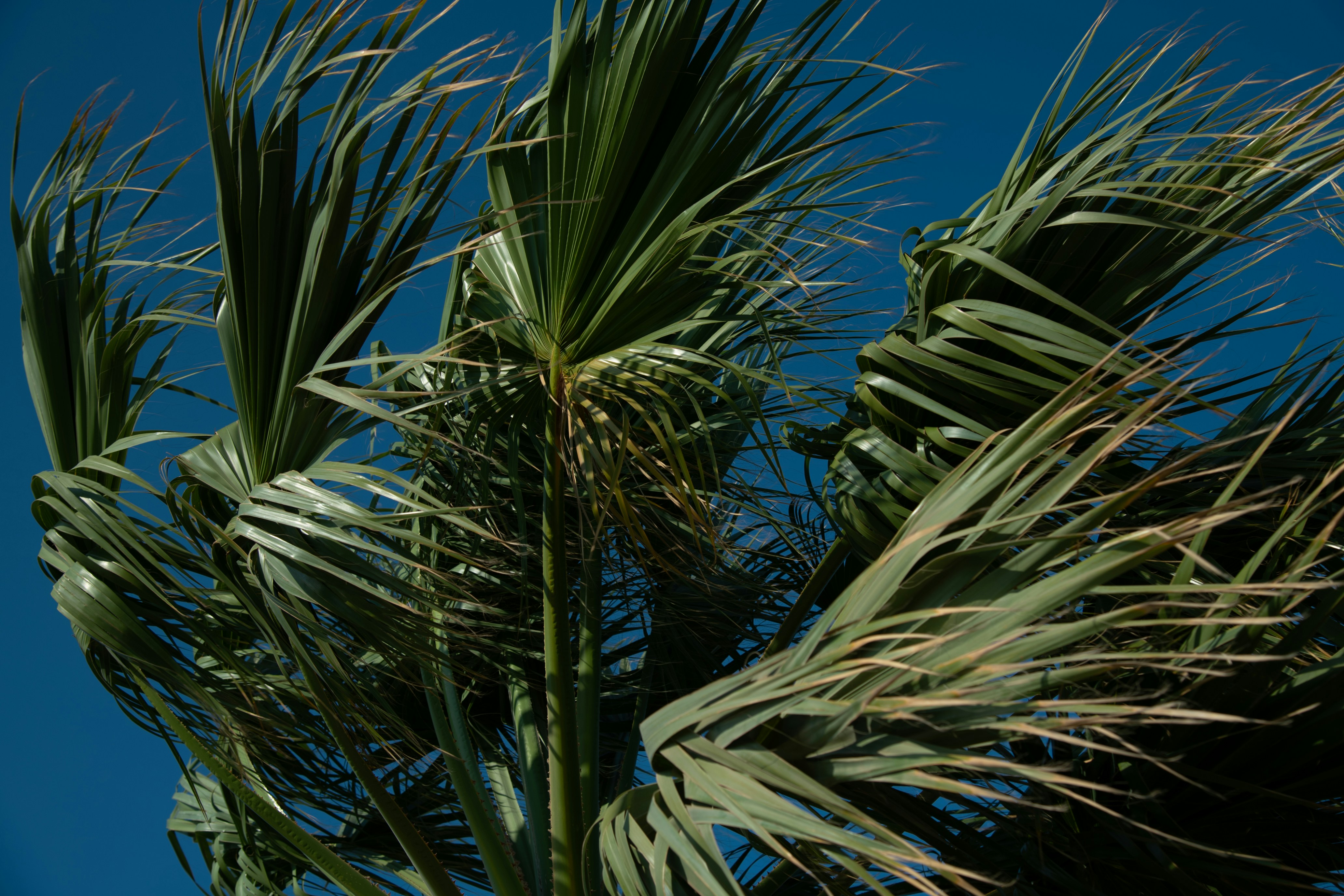 Photo by cemreakcall