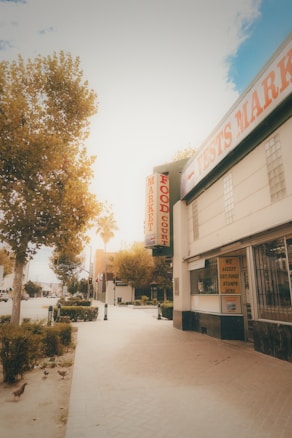 A quaint outdoor market scene featuring a building with a sign for a food court. The street is lined with trees, and there are a few bushes along the sidewalk. A sign on the building indicates that EBT/food stamps are accepted here. The sky is partly cloudy, with sunlight illuminating the scene, creating a warm atmosphere. Several pigeons are visible on the left near the bottom of the image.