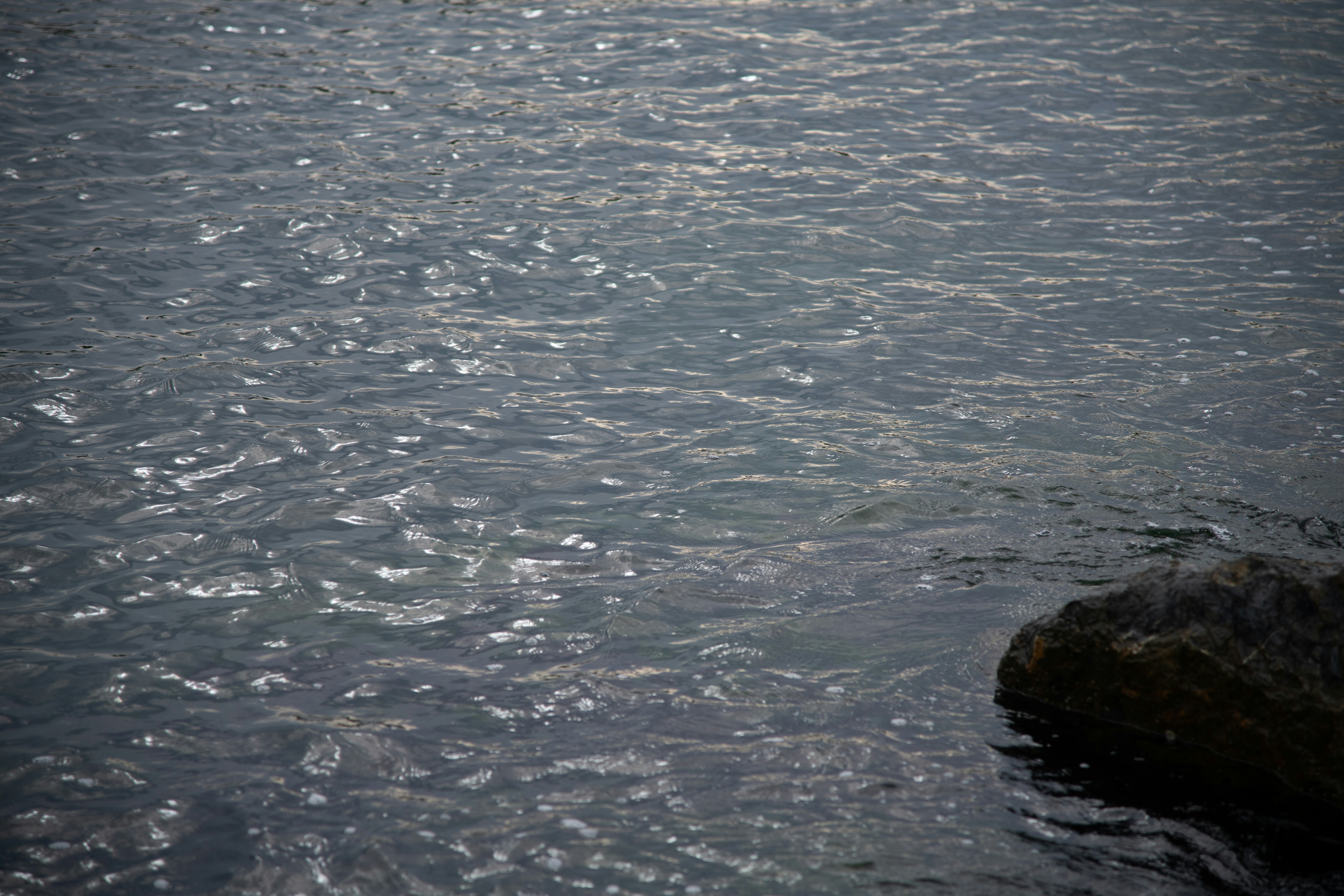 Photo by cemreakcall